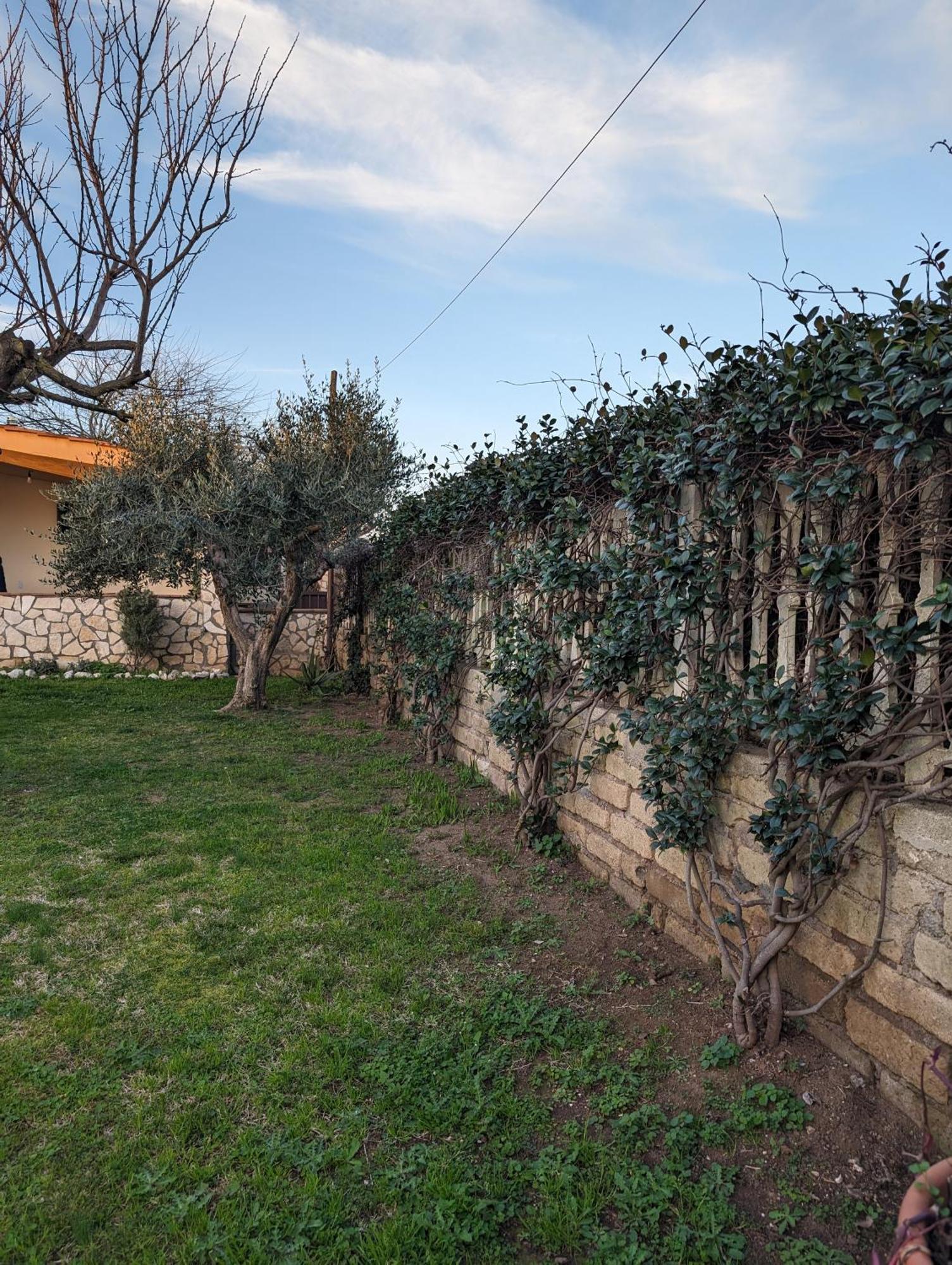 Holiday home La Del Gelso Bianco Aprilia