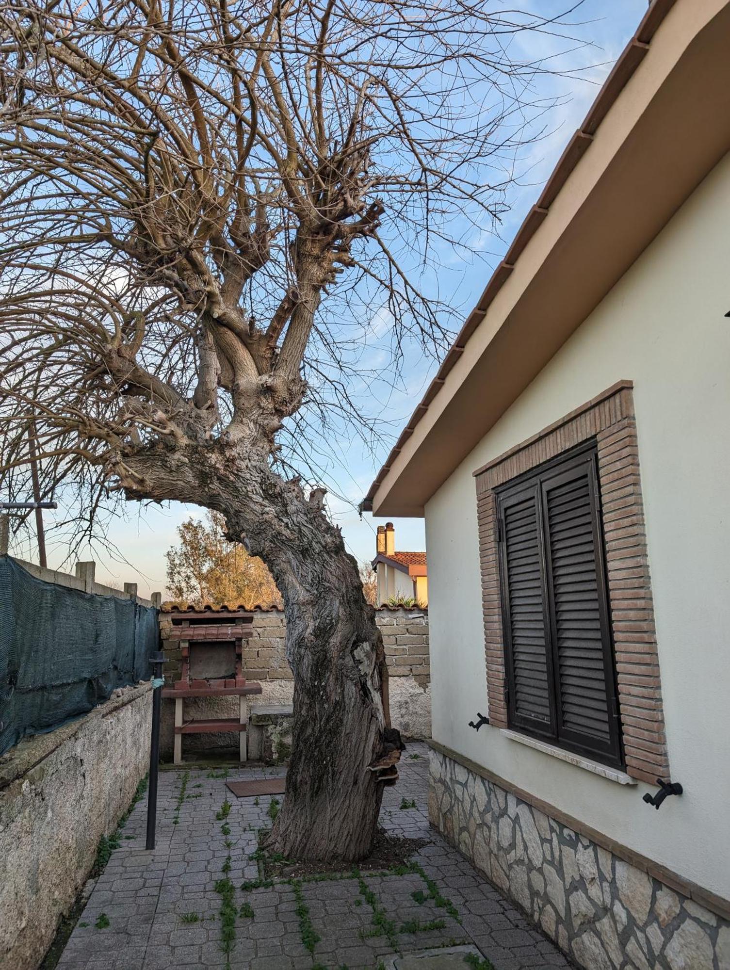 La Del Gelso Bianco Holiday home *